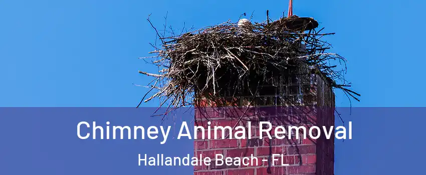  Chimney Animal Removal Hallandale Beach - FL