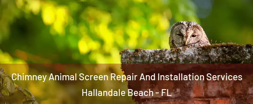  Chimney Animal Screen Repair And Installation Services Hallandale Beach - FL