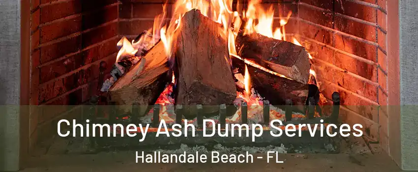  Chimney Ash Dump Services Hallandale Beach - FL