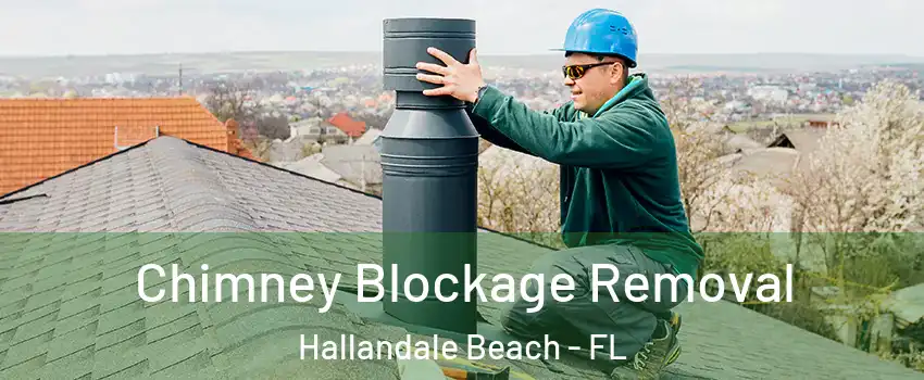  Chimney Blockage Removal Hallandale Beach - FL