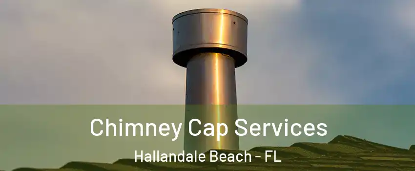  Chimney Cap Services Hallandale Beach - FL