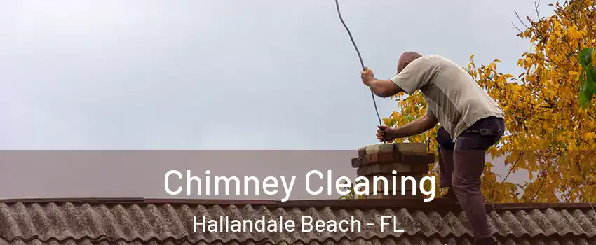  Chimney Cleaning Hallandale Beach - FL