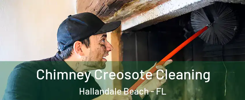  Chimney Creosote Cleaning Hallandale Beach - FL
