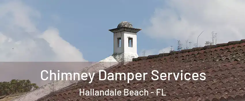  Chimney Damper Services Hallandale Beach - FL
