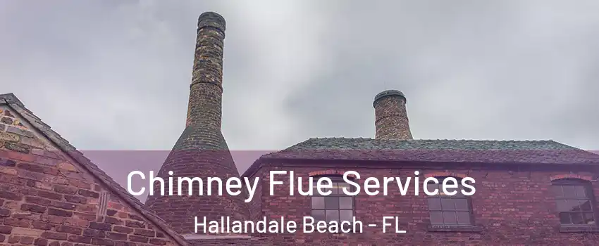  Chimney Flue Services Hallandale Beach - FL