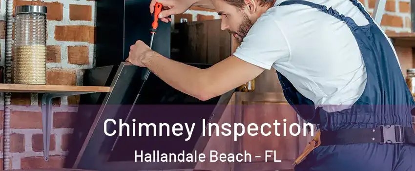  Chimney Inspection Hallandale Beach - FL