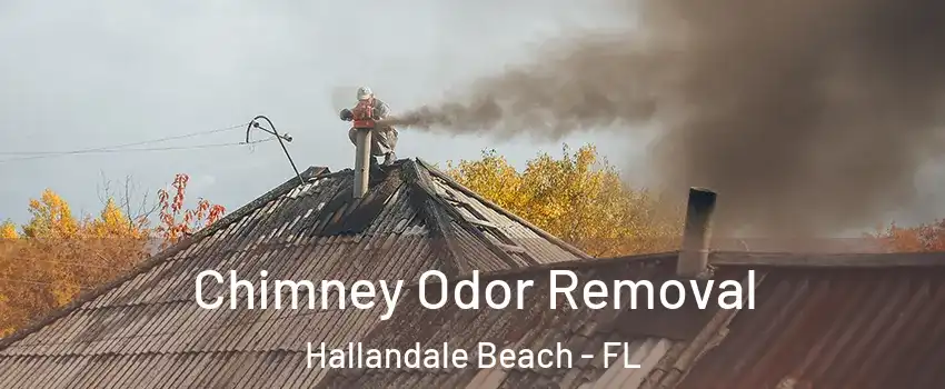  Chimney Odor Removal Hallandale Beach - FL