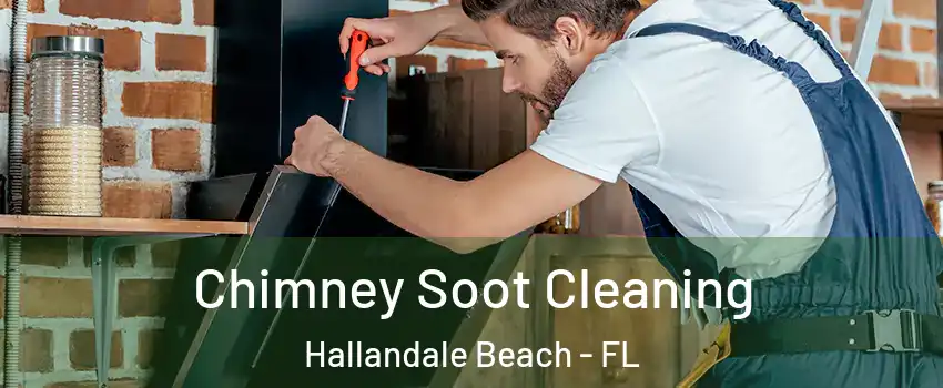  Chimney Soot Cleaning Hallandale Beach - FL