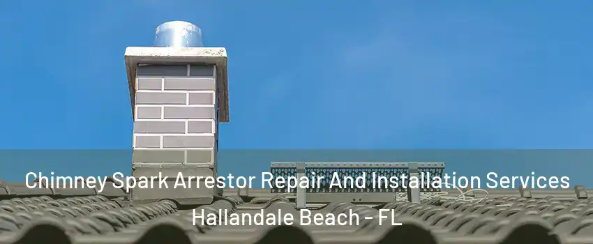  Chimney Spark Arrestor Repair And Installation Services Hallandale Beach - FL