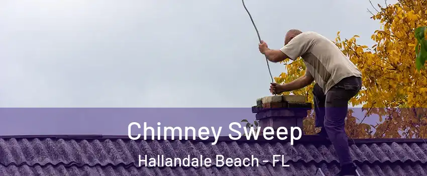  Chimney Sweep Hallandale Beach - FL