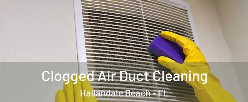  Clogged Air Duct Cleaning Hallandale Beach - FL