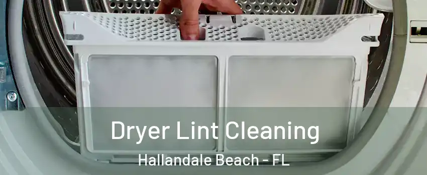  Dryer Lint Cleaning Hallandale Beach - FL