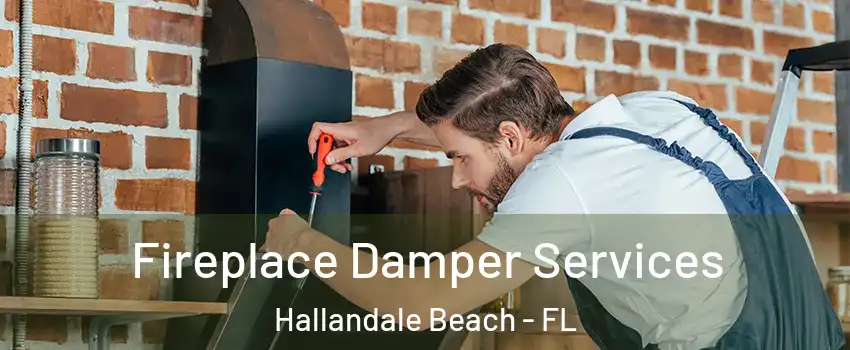  Fireplace Damper Services Hallandale Beach - FL