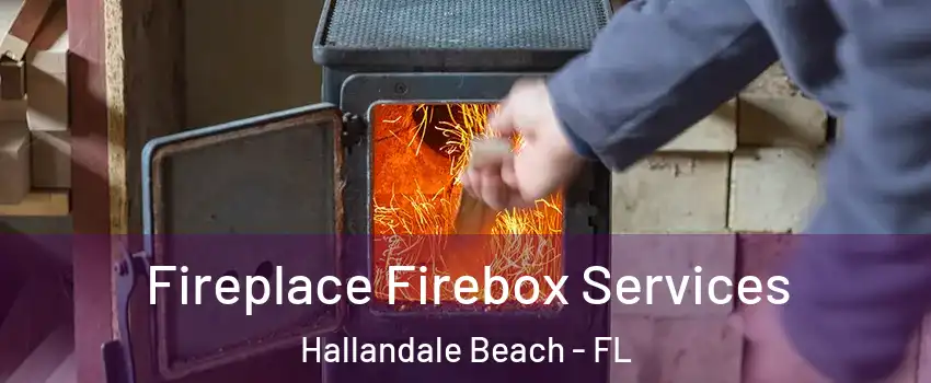  Fireplace Firebox Services Hallandale Beach - FL