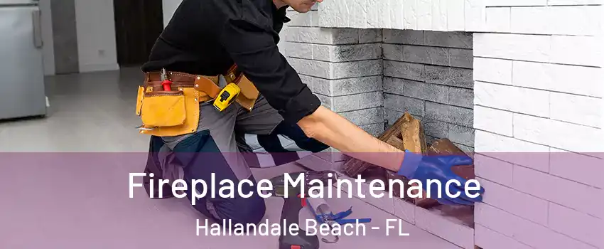  Fireplace Maintenance Hallandale Beach - FL