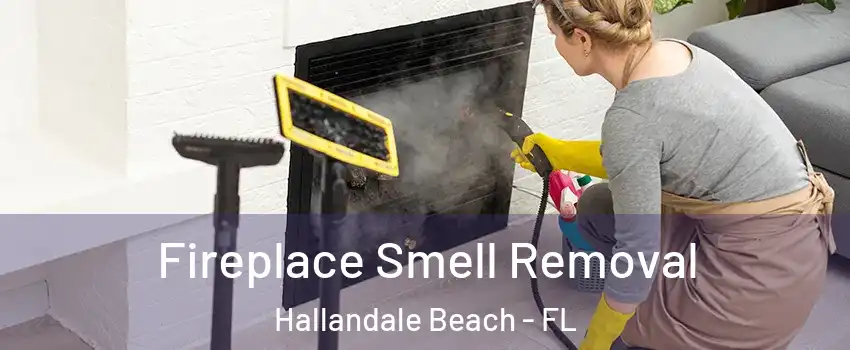  Fireplace Smell Removal Hallandale Beach - FL