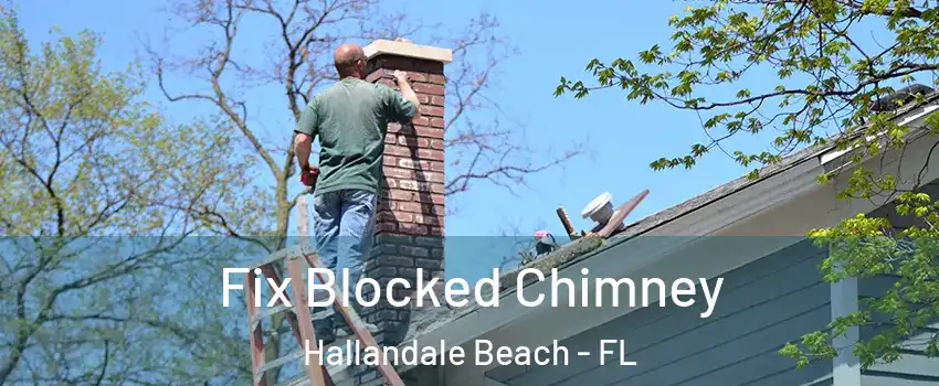 Fix Blocked Chimney Hallandale Beach - FL