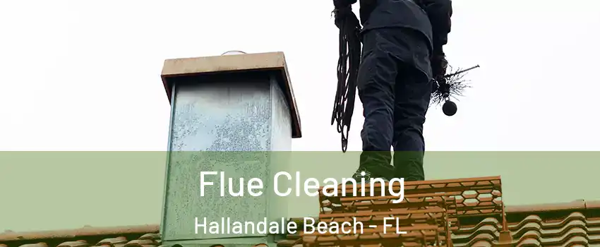  Flue Cleaning Hallandale Beach - FL