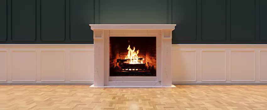 Napoleon Electric Fireplaces Inspection Service in Hallandale Beach, Florida