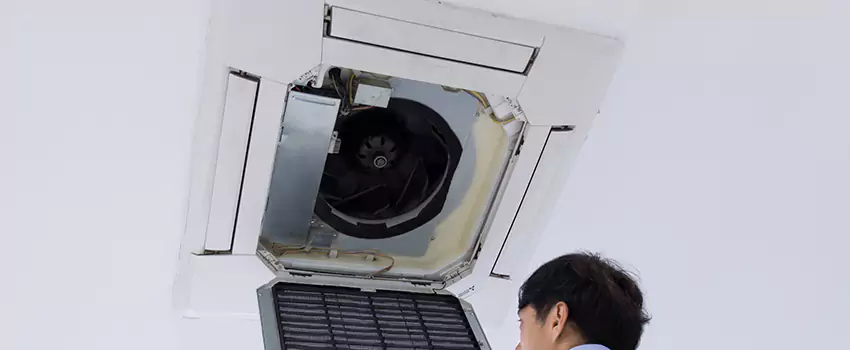 Benefits of Professional Air Duct Cleaning in Hallandale Beach, Florida