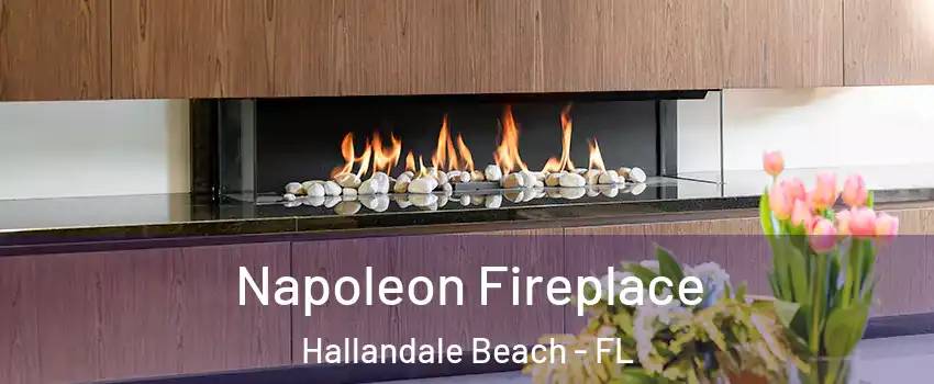  Napoleon Fireplace Hallandale Beach - FL