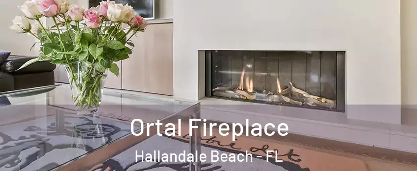Ortal Fireplace Hallandale Beach - FL